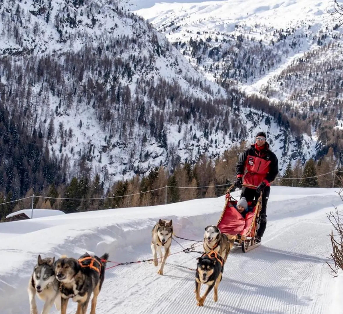 Profumo Di Legno Fra Le Alpi Apartment VALDIDENTRO